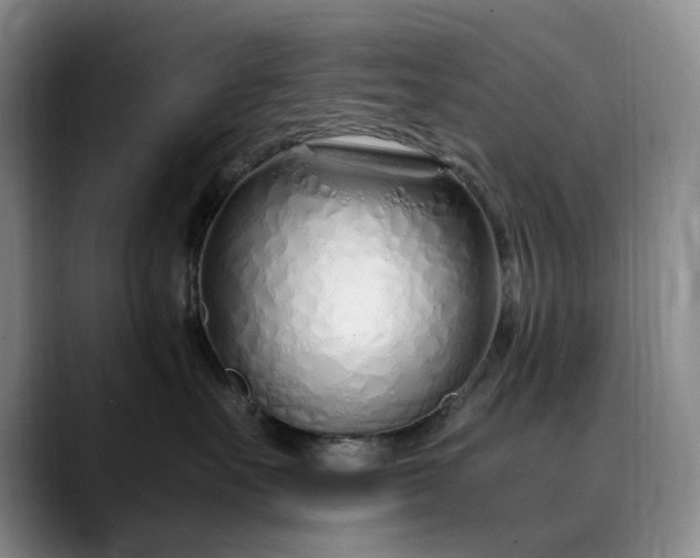 X0000089890527200707121833