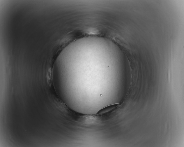 X0000089890528200707121833