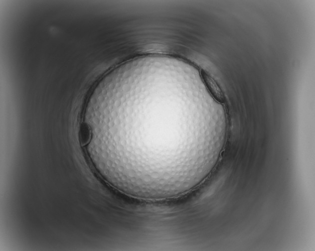 X0000089890529200707121833