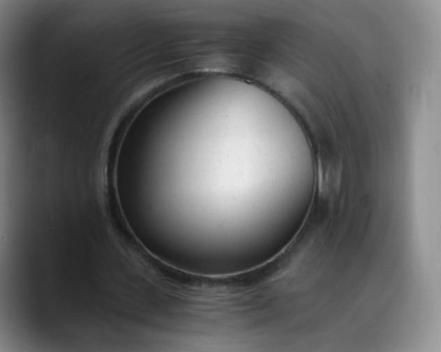 X0000089890531200707121833