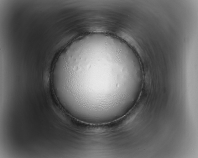 X0000089890533200707121833