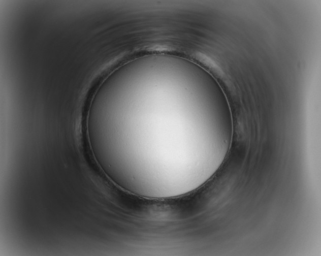 X0000089890535200707121833