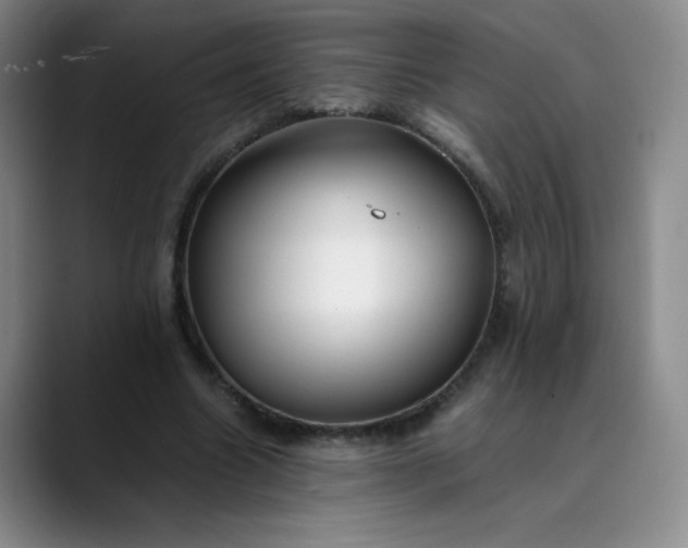 X0000089890538200707121833