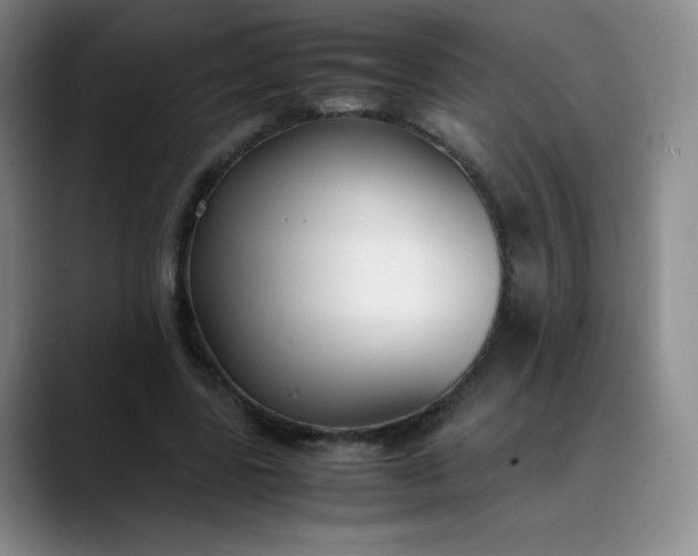 X0000089890539200707121833