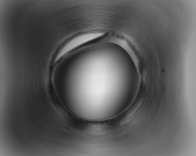 X0000089890540200707121833