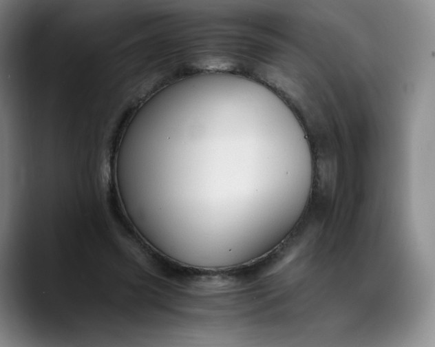 X0000089890541200707121833