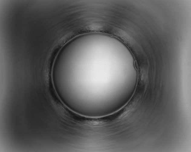 X0000089890542200707121833