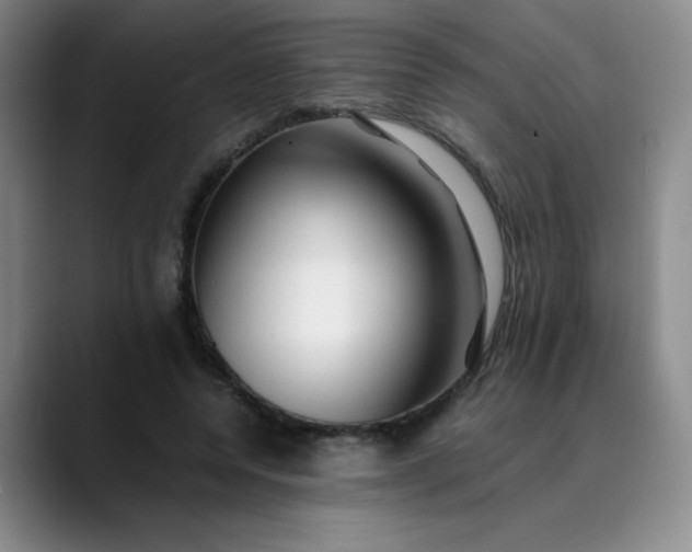 X0000089890544200707121833