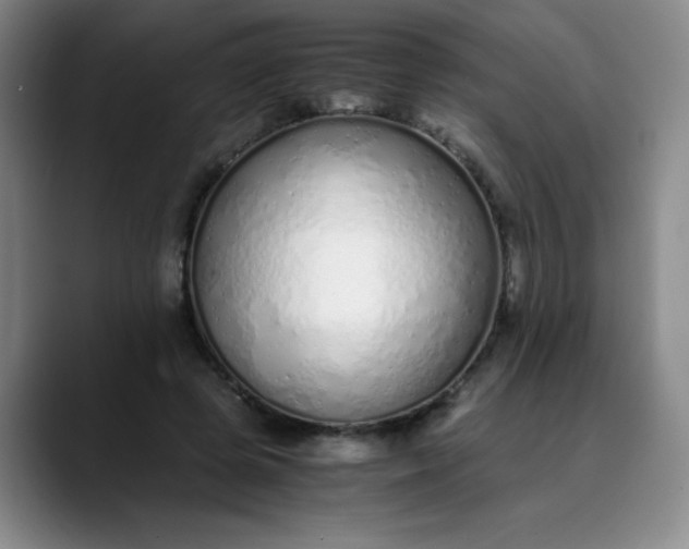 X0000089890545200707121833