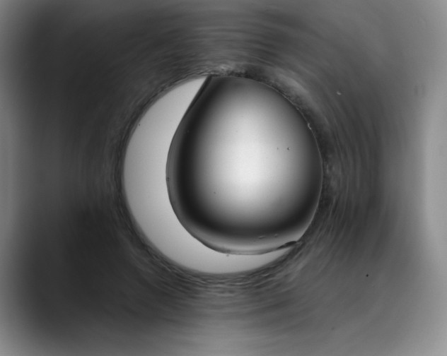 X0000089890546200707121833