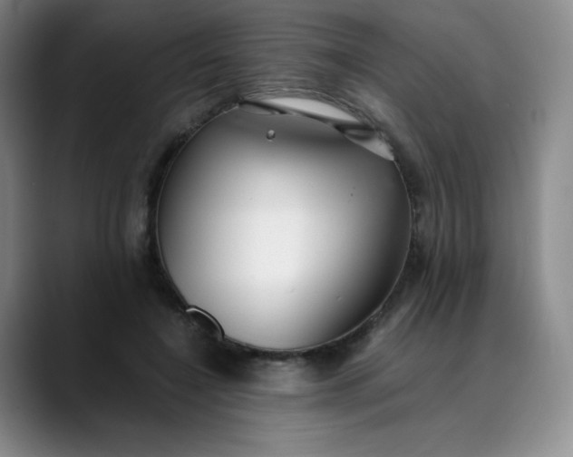 X0000089890548200707121833