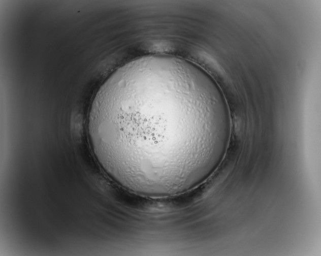 X0000089890549200707121833