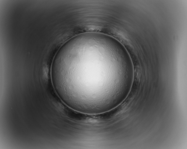 X0000089890550200707121833