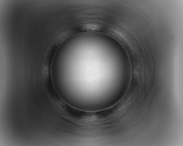 X0000089890551200707121833