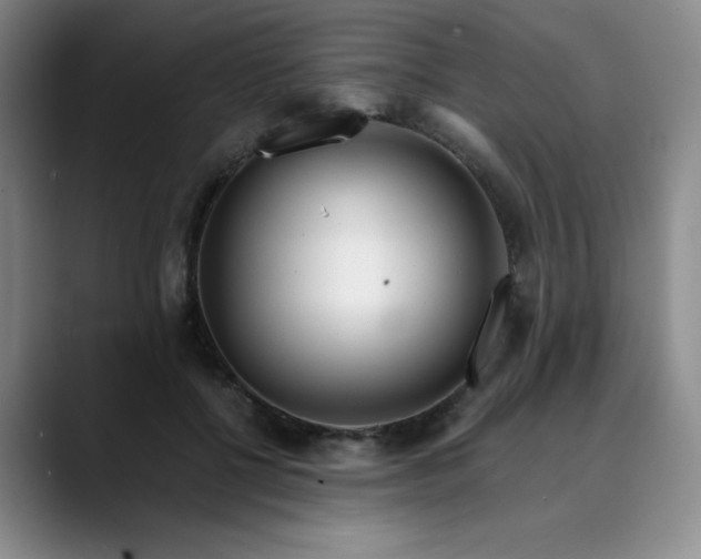 X0000089890552200707121833