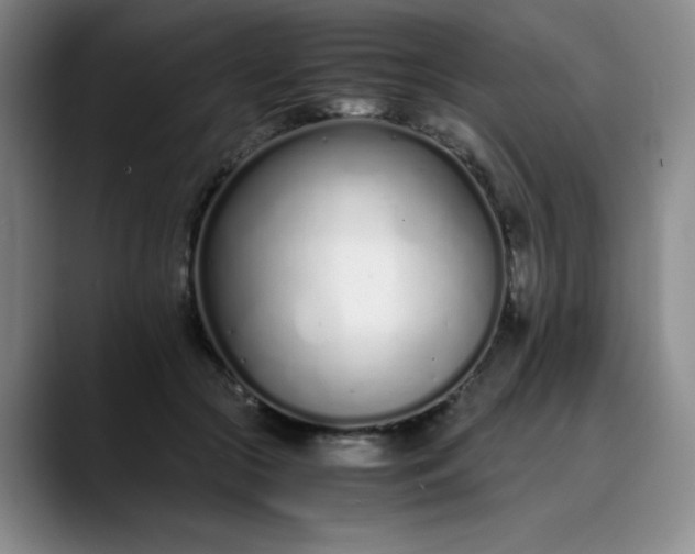 X0000089890553200707121833