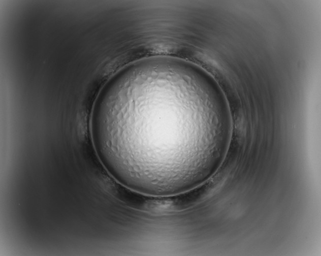 X0000089890554200707121833