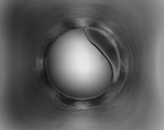 X0000089890556200707121833