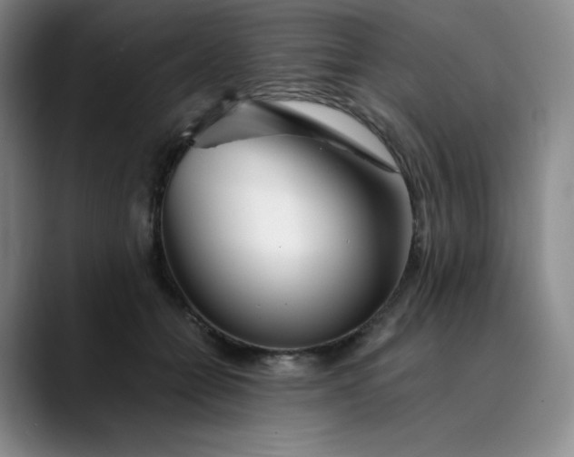 X0000089890558200707121833