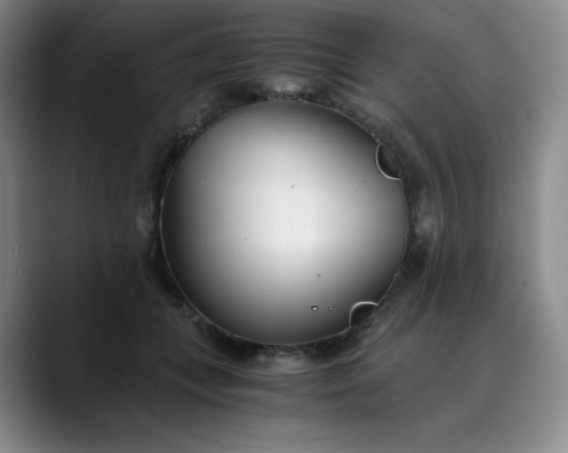 X0000089890559200707121833