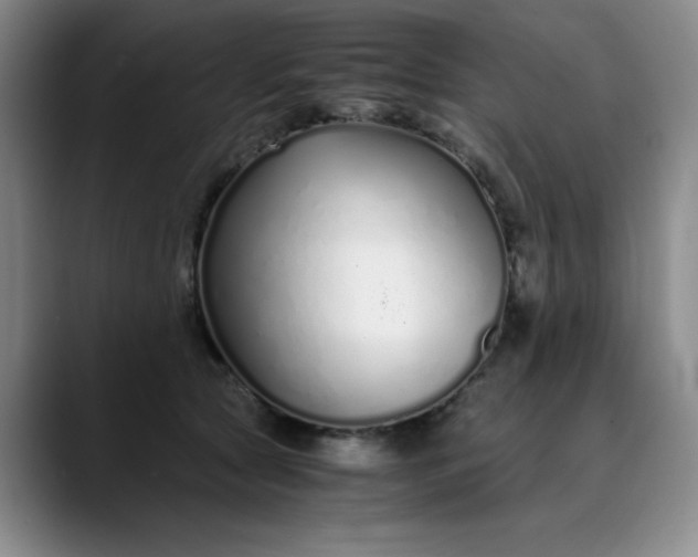 X0000089890561200707121833