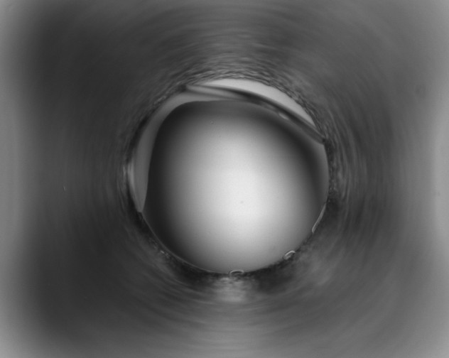 X0000089890562200707121833