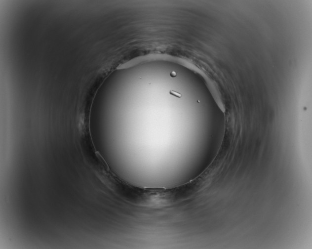 X0000089890564200707121833