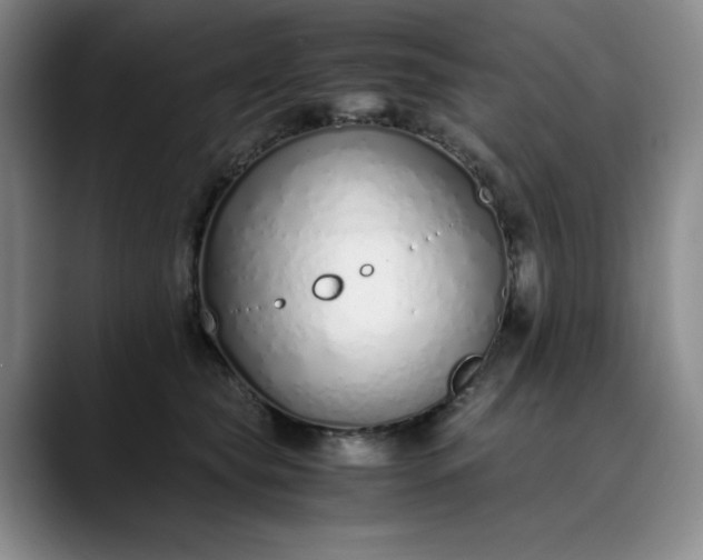 X0000089890565200707121833