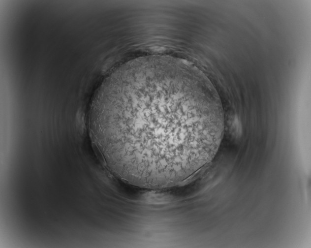 X0000089890568200707121833