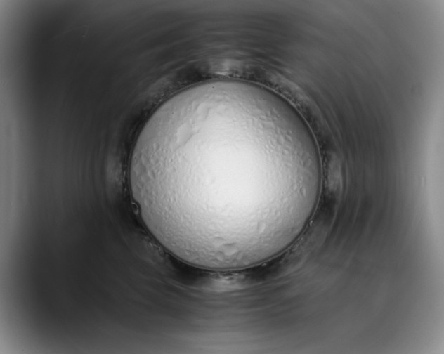 X0000089890569200707121833