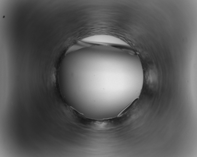 X0000089890570200707121833