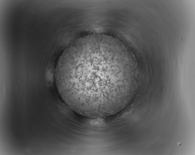 X0000089890576200707121833