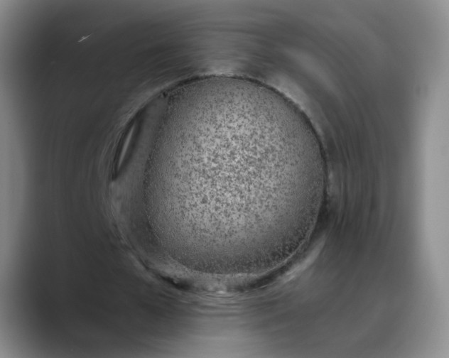 X0000089890577200707121833