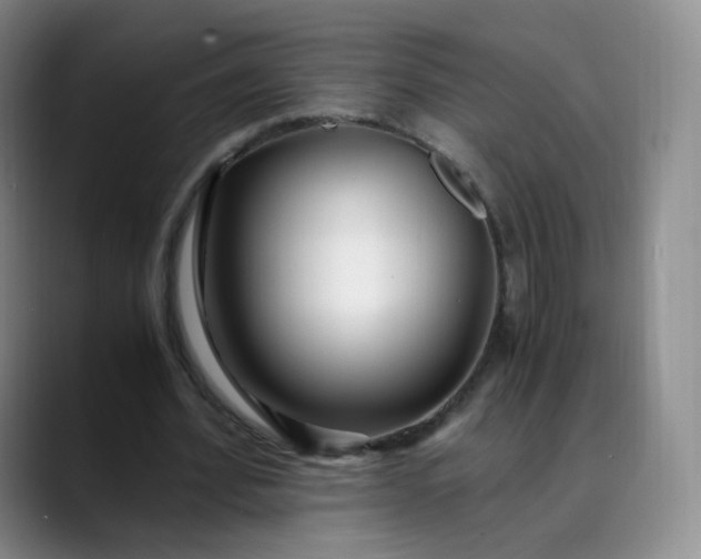 X0000089890580200707121833