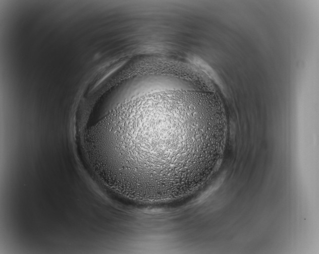 X0000089890581200707121833