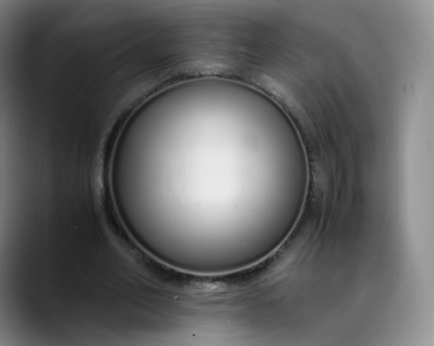 X0000089890582200707121833