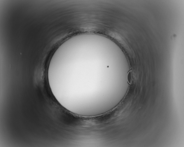 X0000089890583200707121833