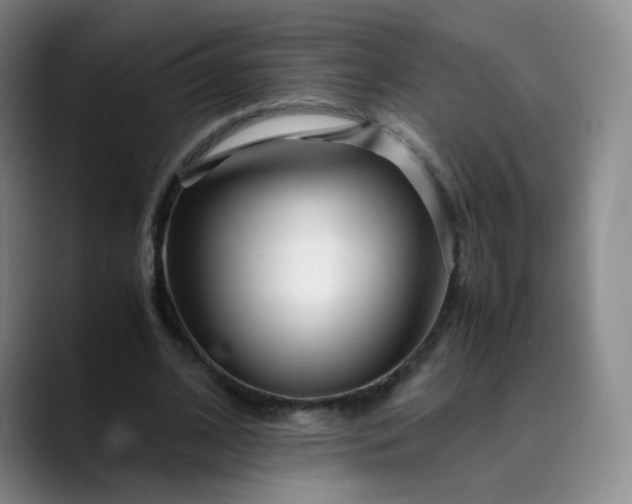 X0000089890584200707121833