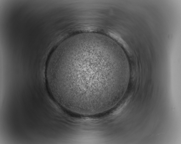X0000089890585200707121832