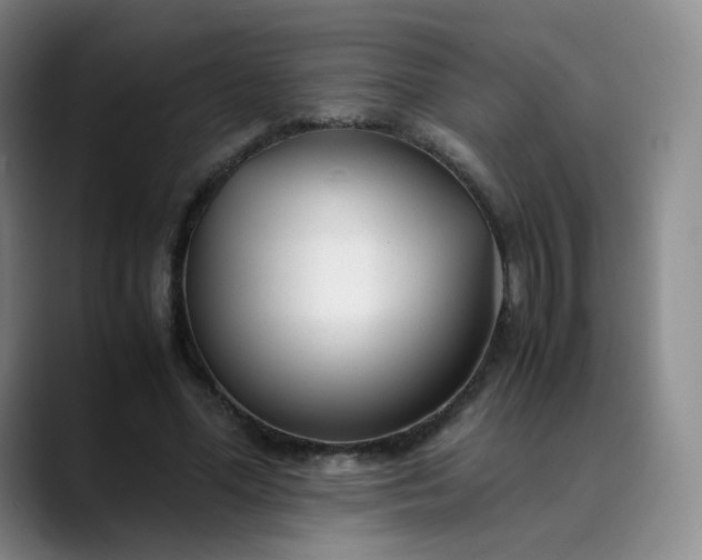 X0000089890588200707121832