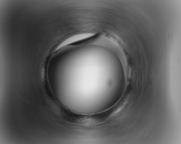 X0000089890589200707121832