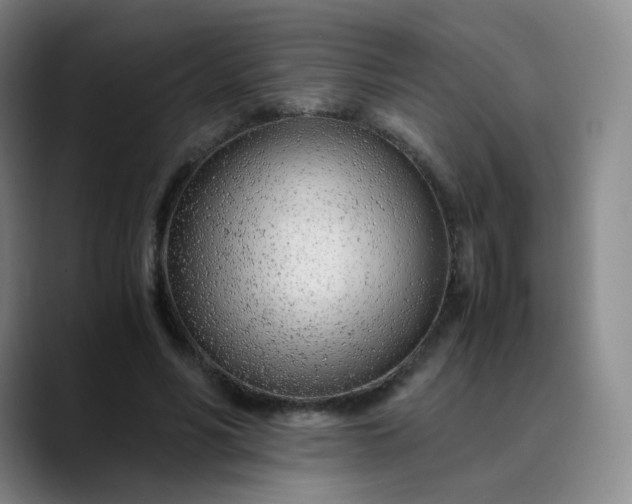 X0000089890590200707121832