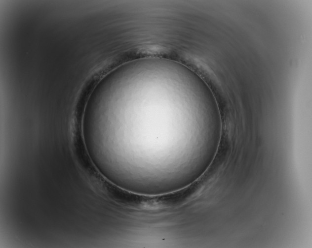 X0000089890591200707121832