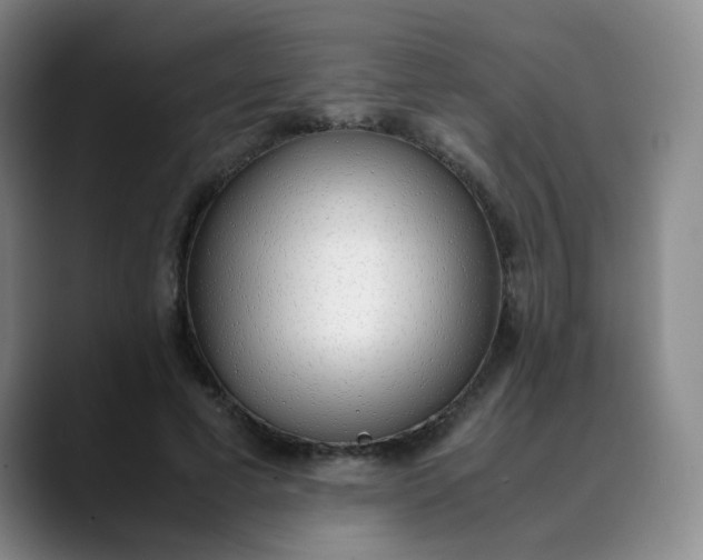 X0000089890593200707121832