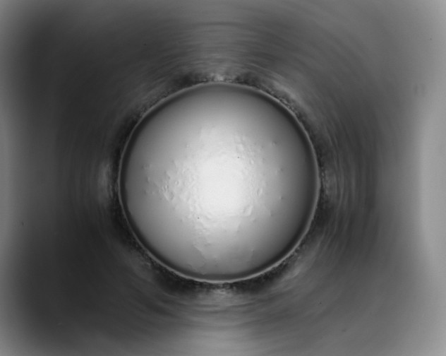 X0000089890594200707121832