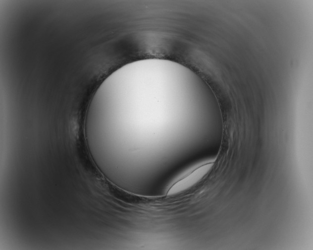 X0000089890595200707121832