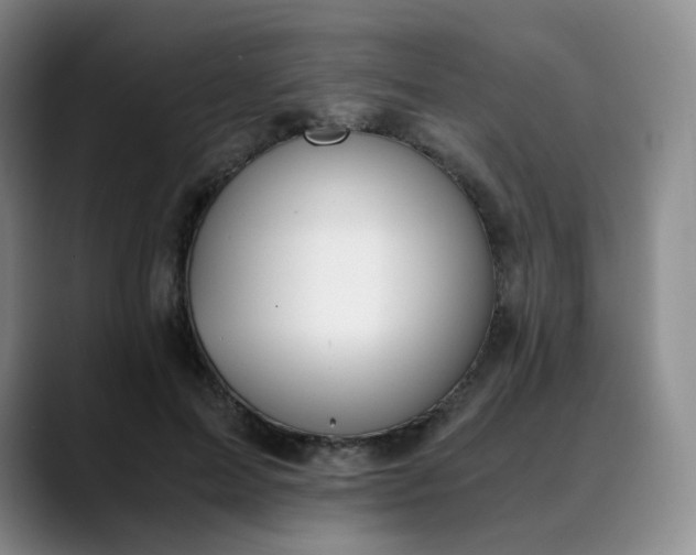 X0000089890599200707121832