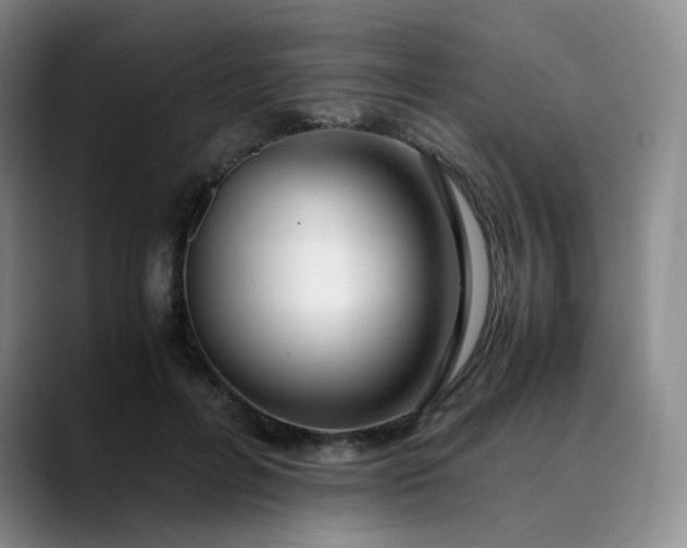 X0000089890600200707121832