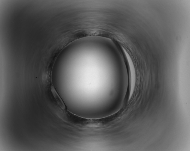 X0000089890601200707121832