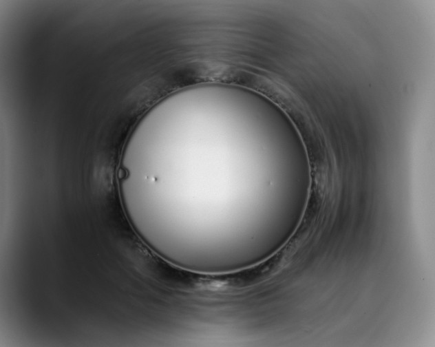 X0000089890602200707121832